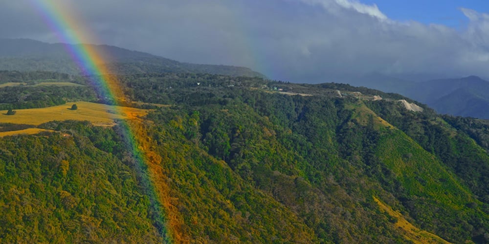 A Quick-Look Guide to Our Favorite Monteverde Reserves