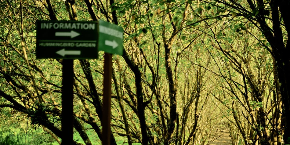 La red de reservas de Monteverde: un refugio para la biodiversidad