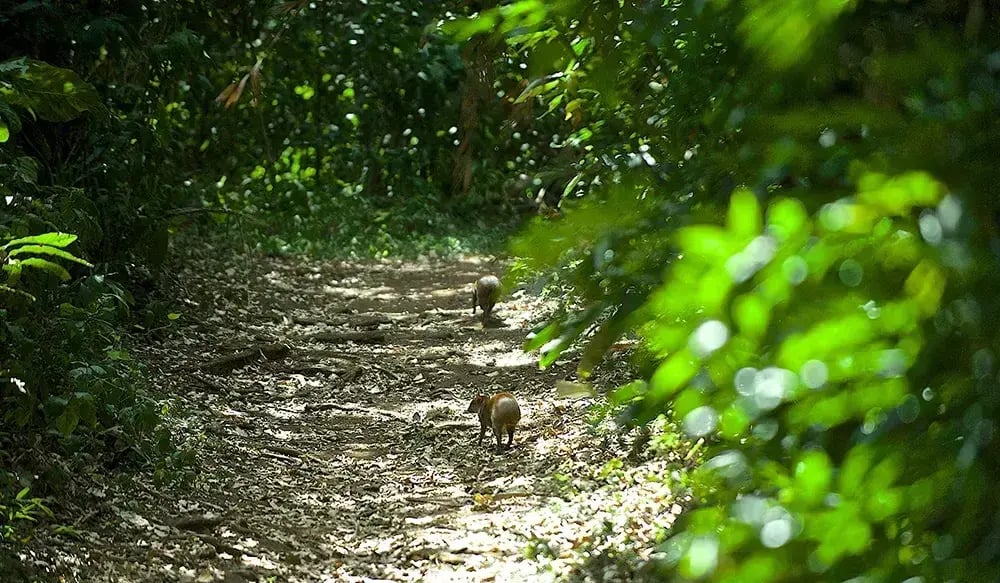 Curi Cancha  day hike 3-1
