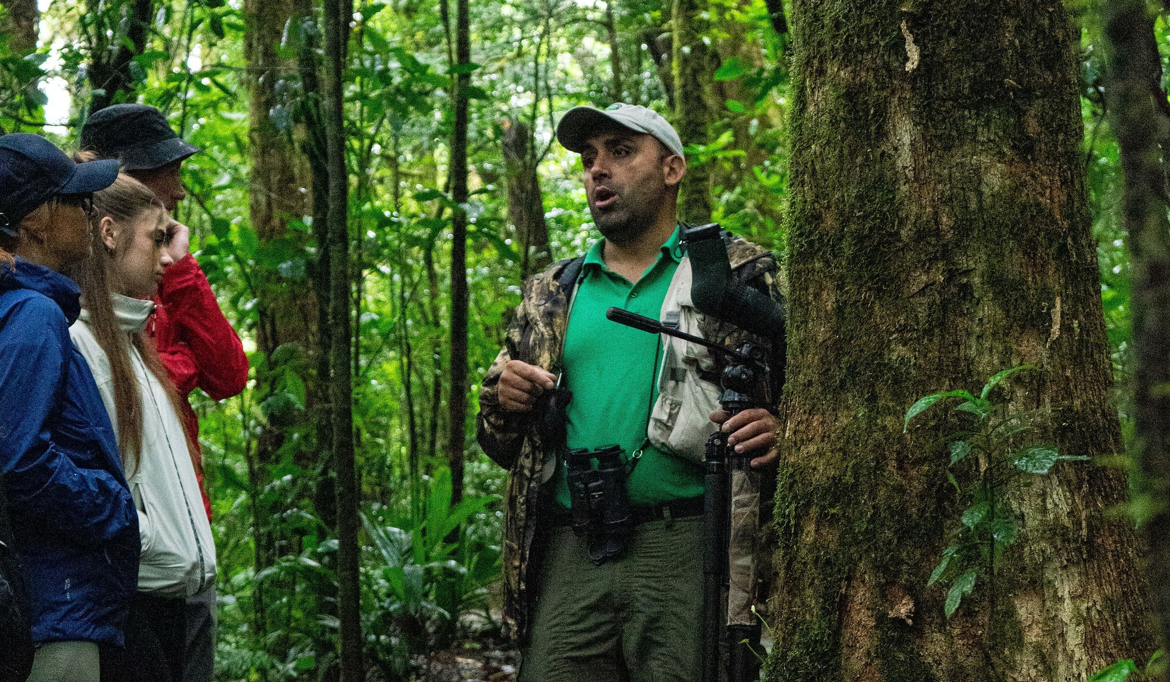 Guia de reservamtv