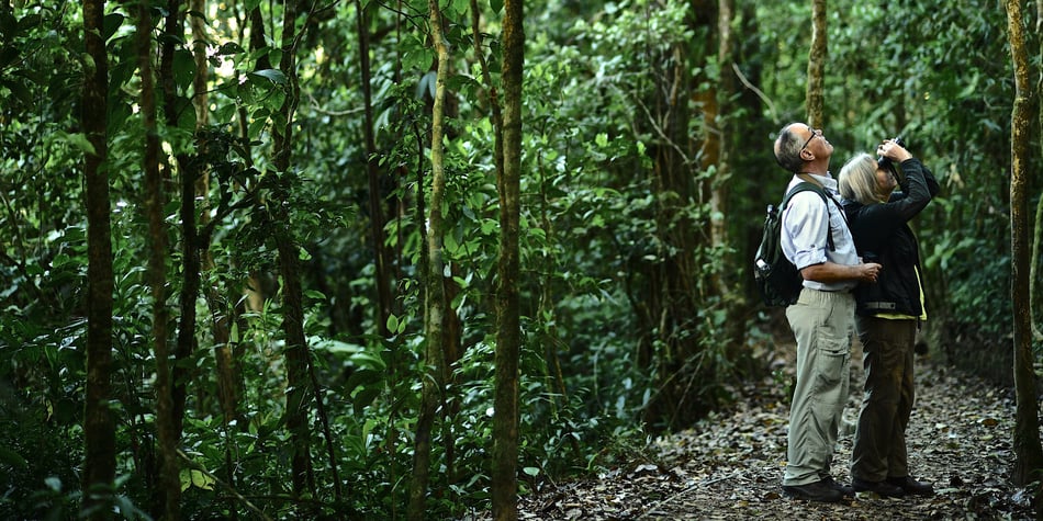 Así se vive Monteverde con Ocotea: experiencias de nuestros huéspedes