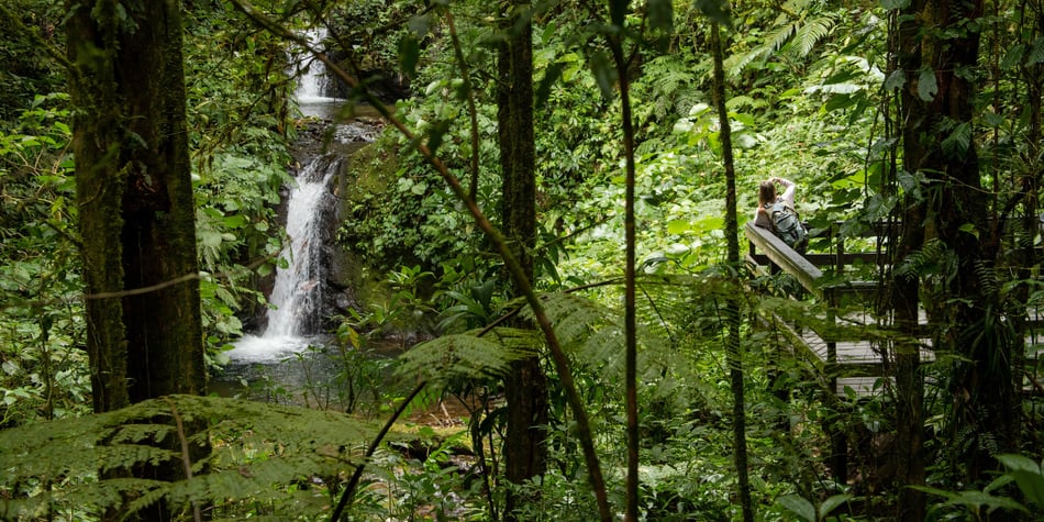 Diferencias entre Monteverde y La Fortuna