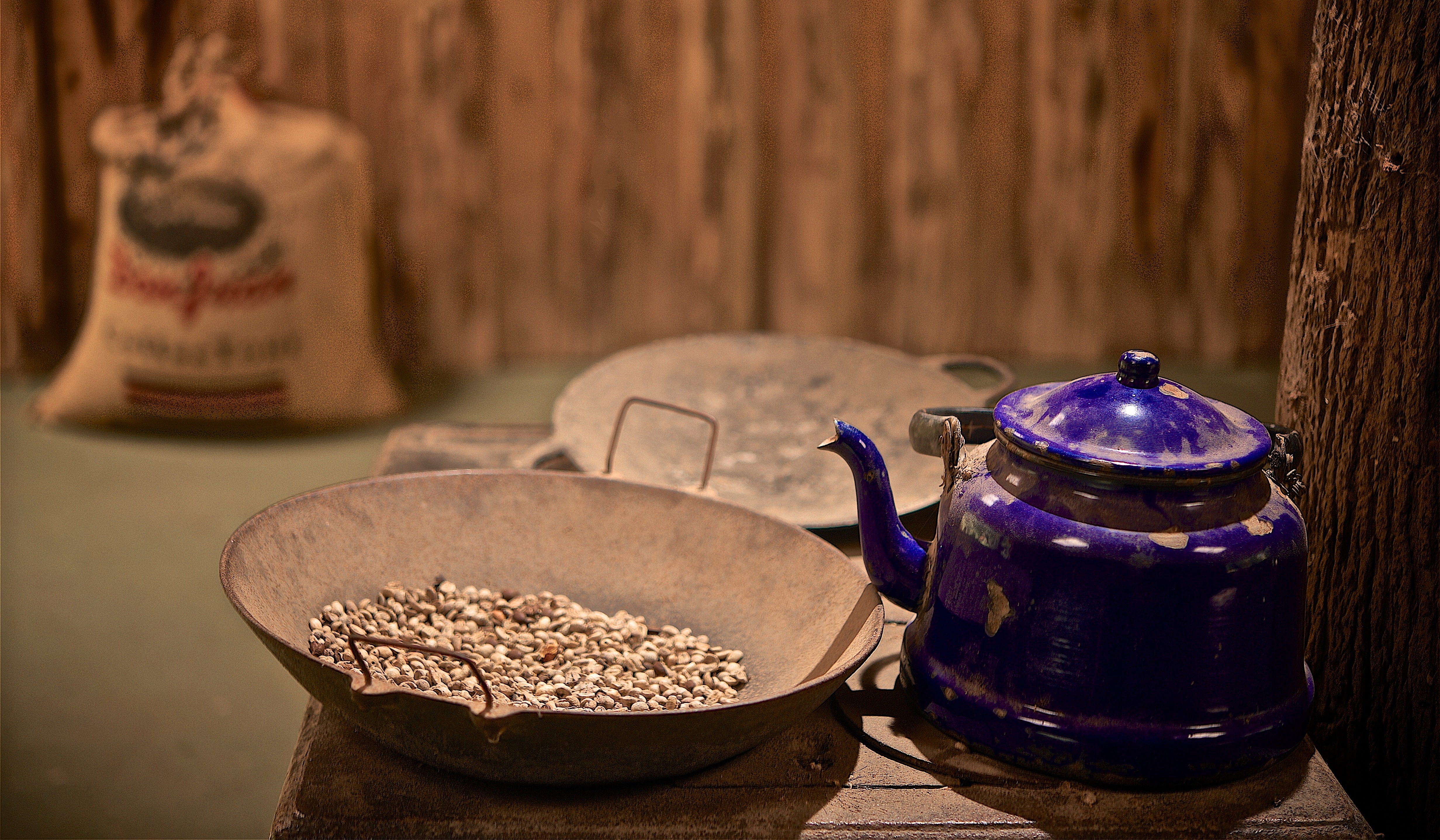Ocotea café 33