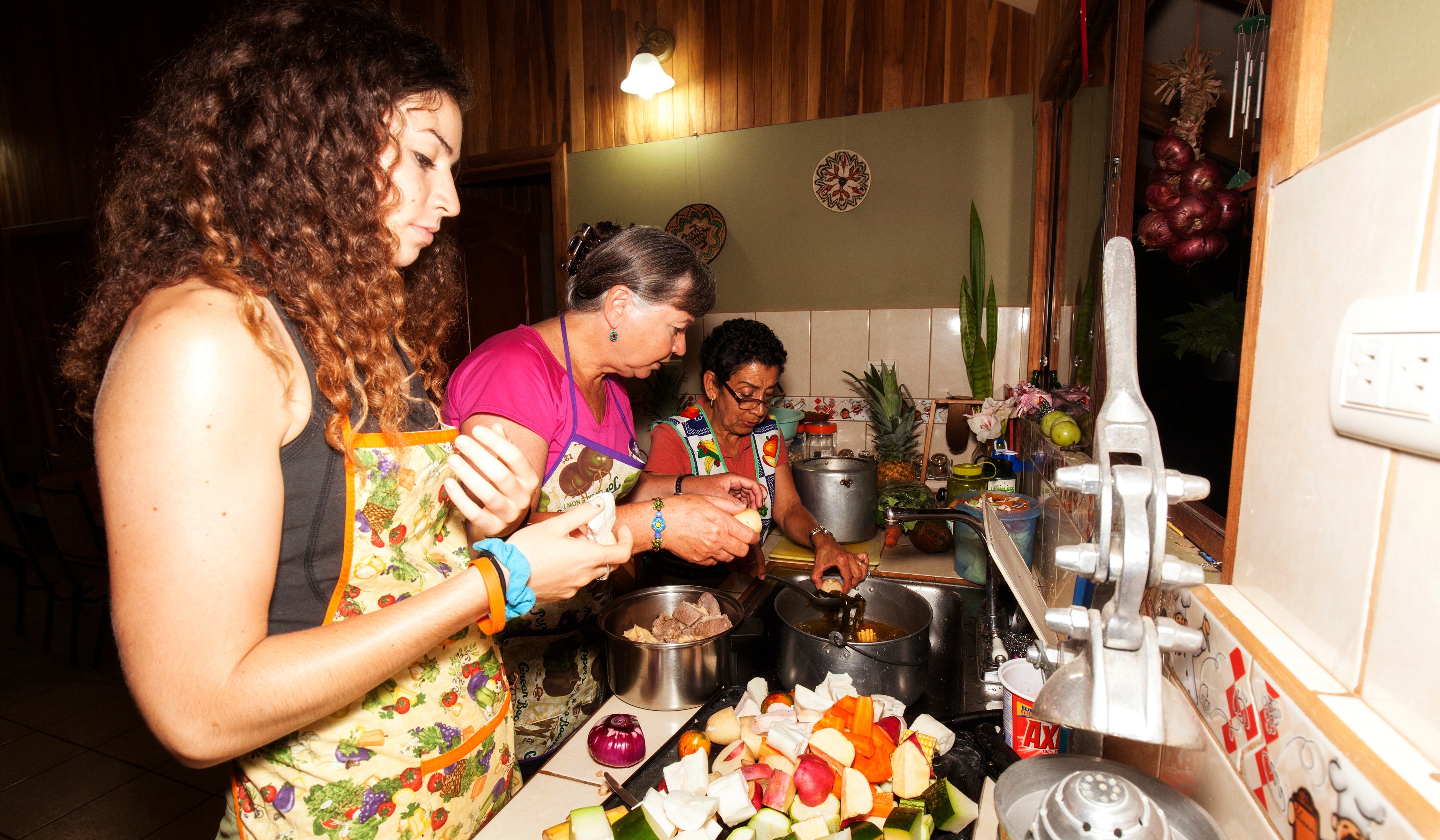 Ocotea cocina 3