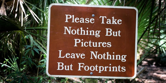 Sustainable Ecotourism in Monteverde