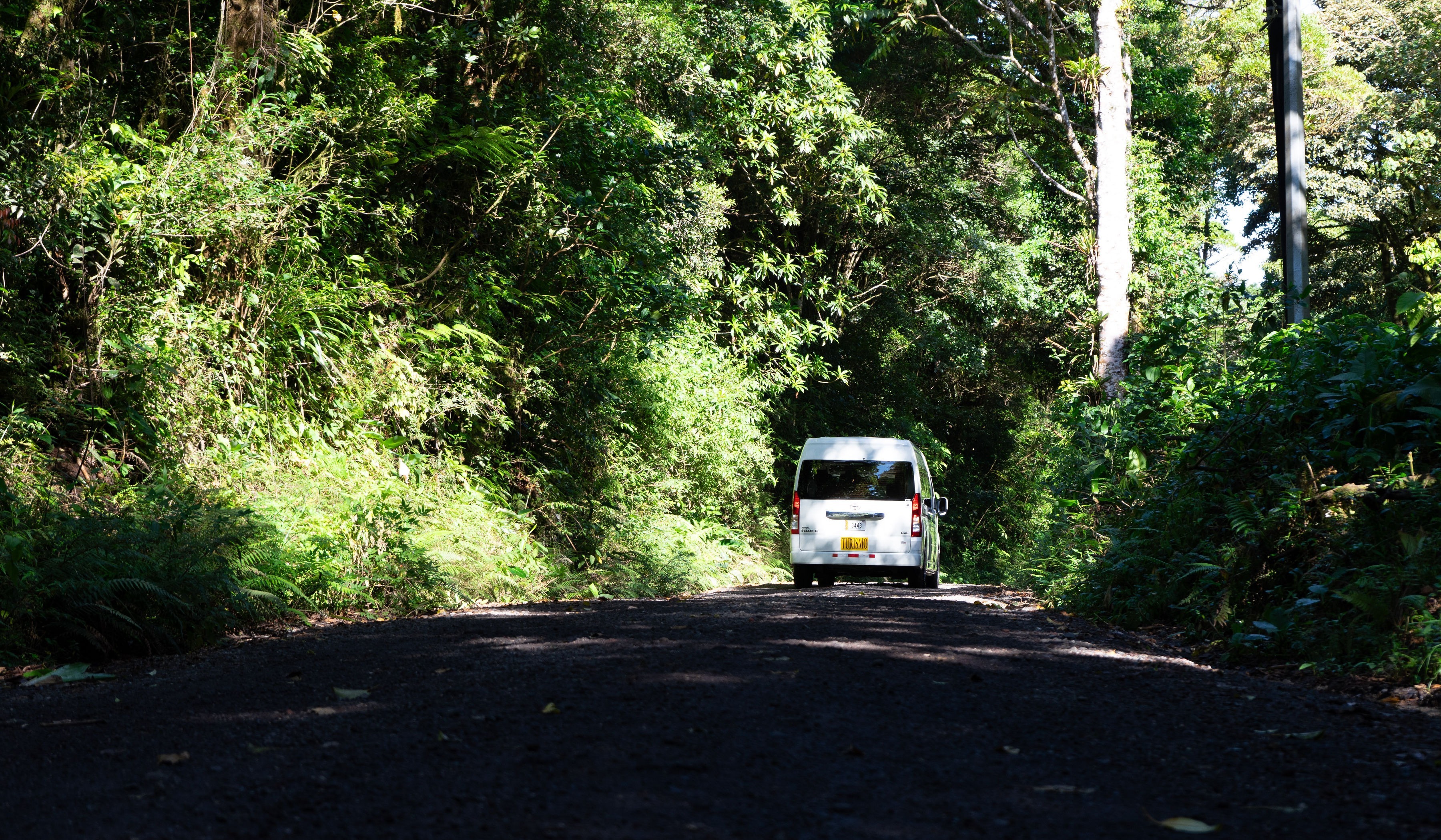 transportes-ocotea-22