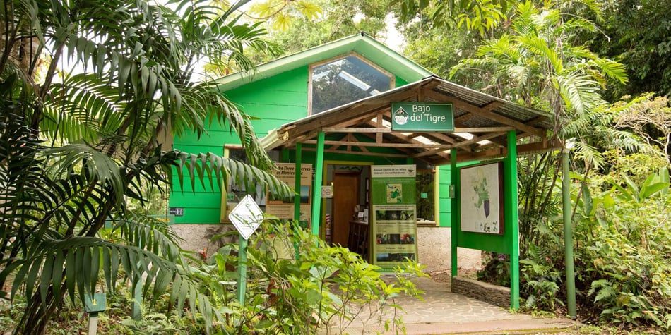 Exploring the Mysteries of the Bosque Eterno de los Niños at Night
