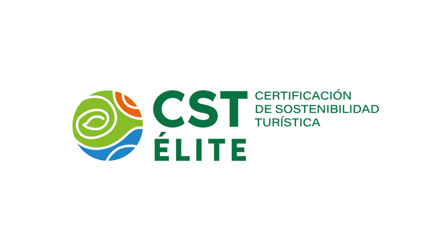 LOGO_CST ELITE Color
